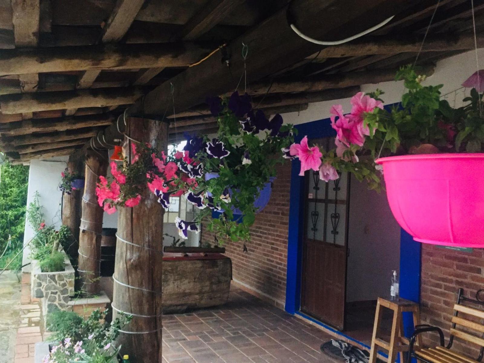 Hotel Vista Markes Zacatlán エクステリア 写真